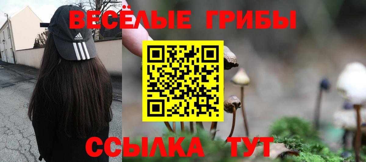 Галлюциногенные грибы ЛСД  Вход с VPN  Протвино  Псилоцибиновые грибы MAGIC MUSHROOMS 
